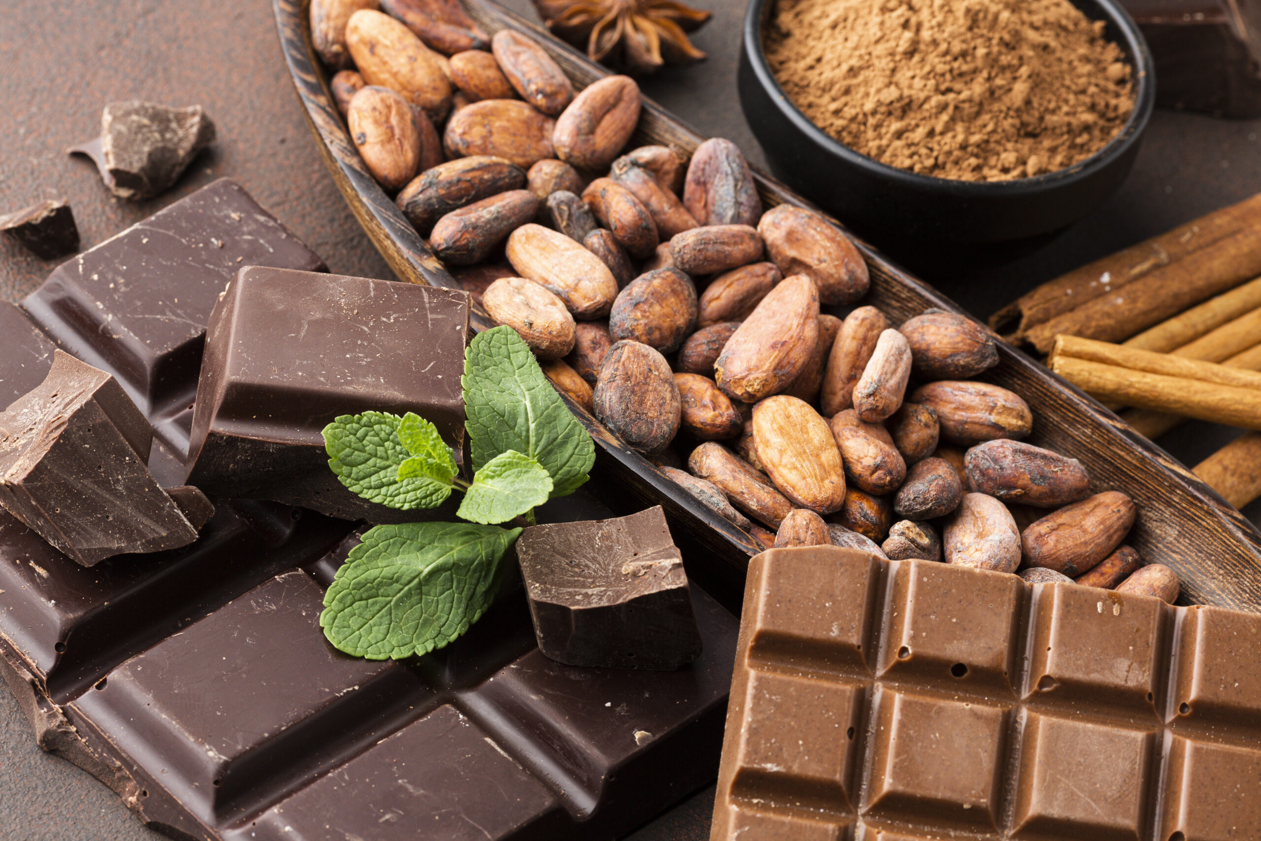 cacao y chocolate