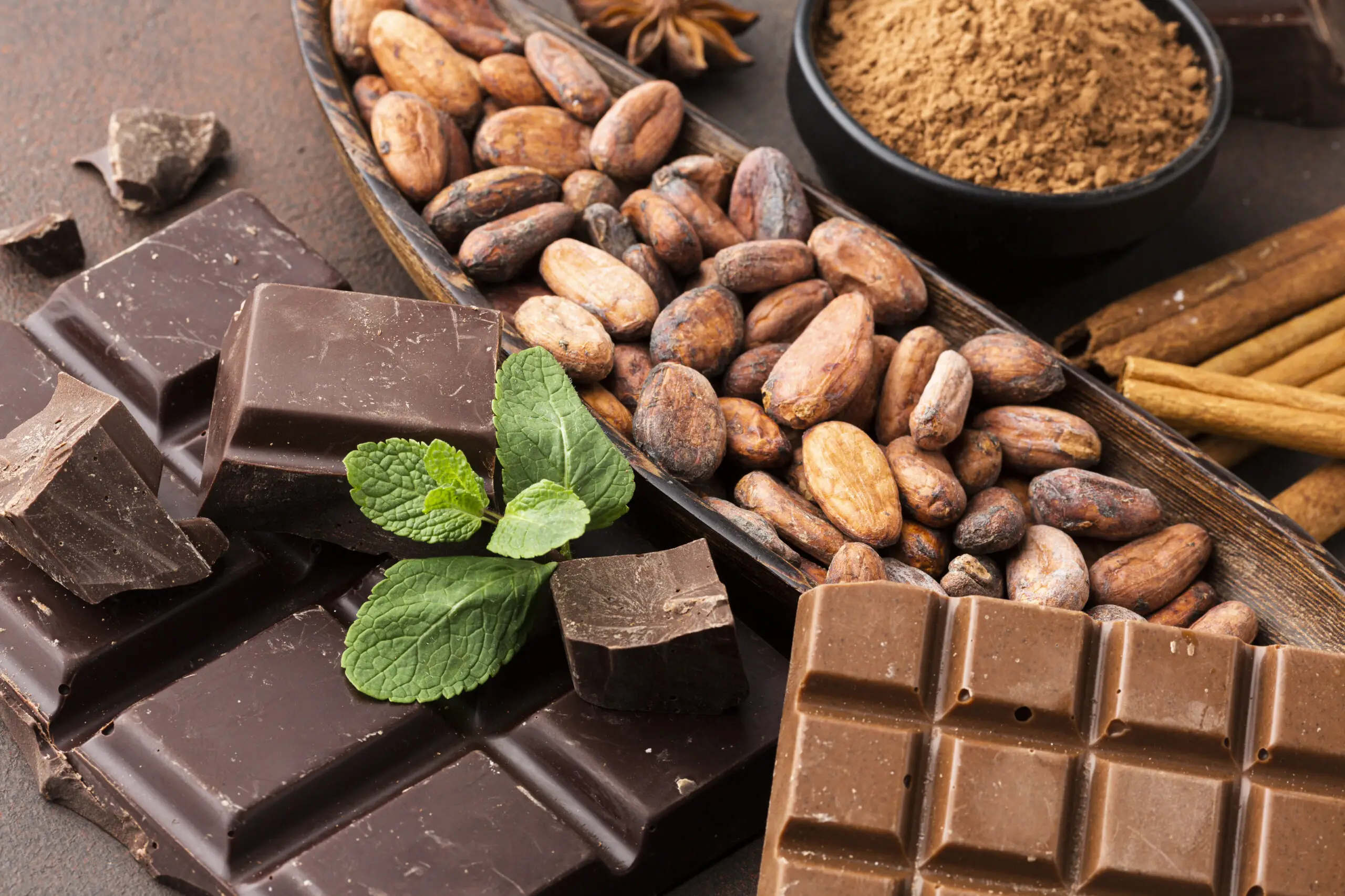 cacao y chocolate